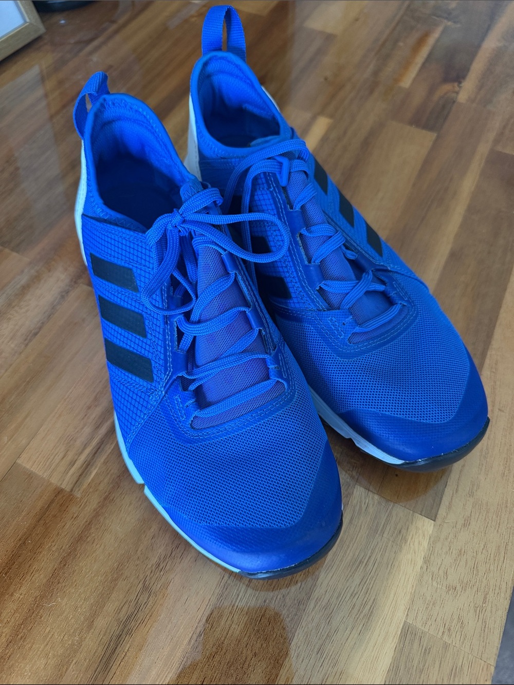 Adidas Terrex 215 Royal Blue Running Shoes Men's Size 8.5